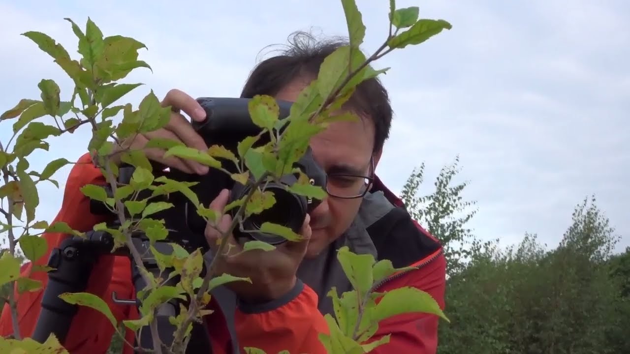 Macro Photography In the Field | Close up Photography with a Canon EF 100mm f/2.8 Lens