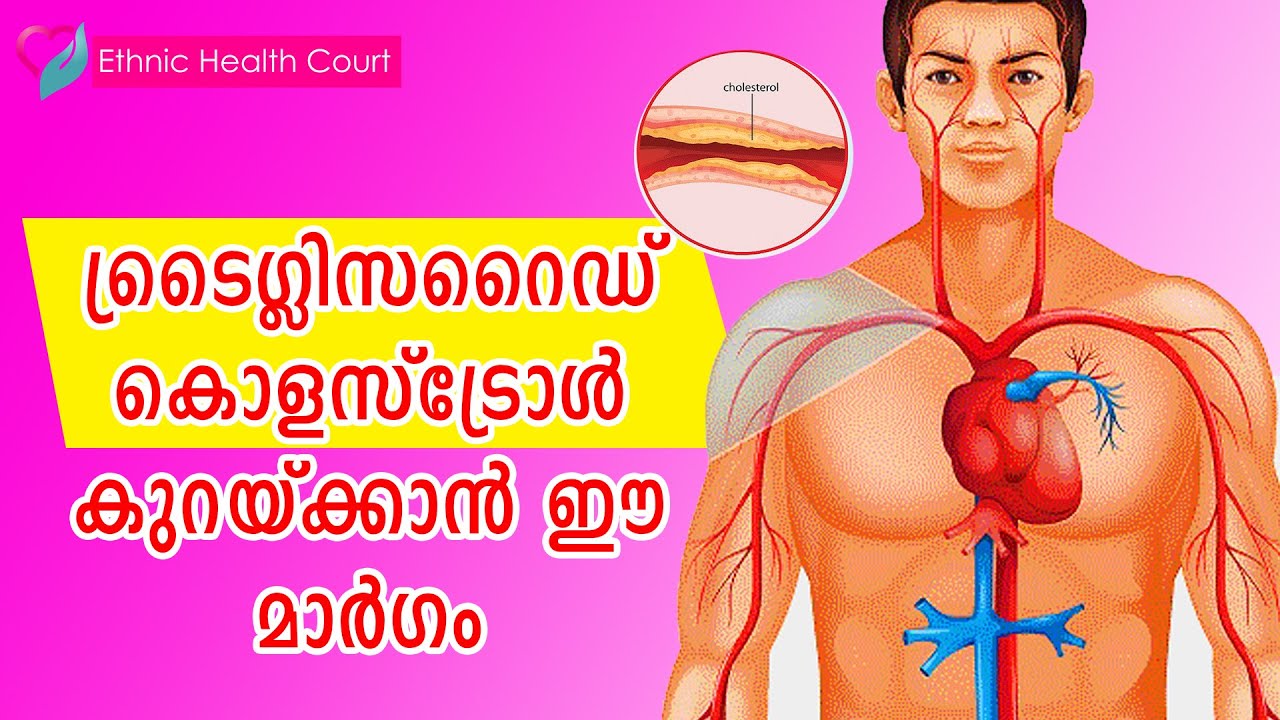 ട്രൈഗ്ലിസറൈഡ് കൊളസ്ട്രോൾ കുറയ്ക്കാനുള്ള മാർഗ്ഗങ്ങൾ | Triglyceride-Cholesterol | Ethnic Health Court