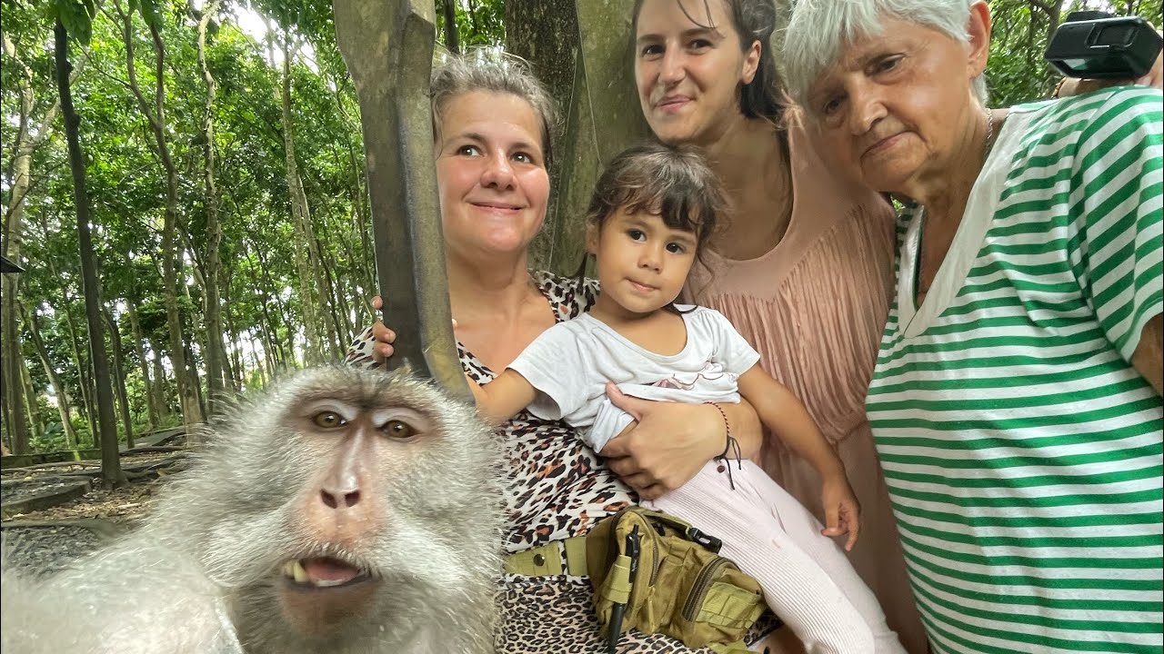 I got attacked by a monkey 🙈 Ubud, Monkey Forest