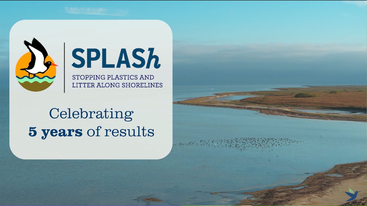 Celebrating 5 Years of SPLASh