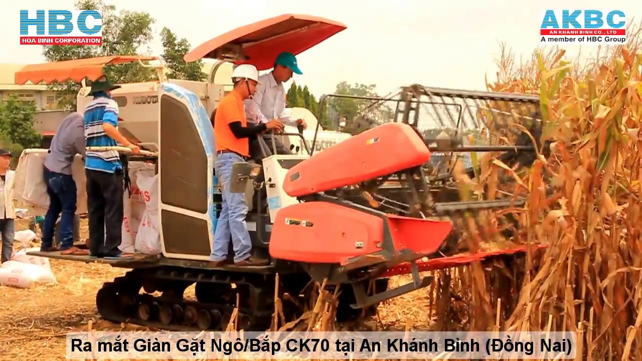 M&aacute;y gặt bắp Kubota CK70