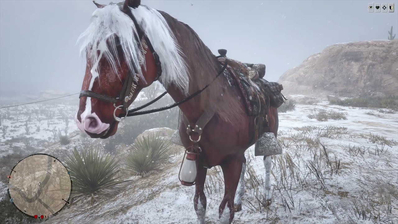 New Chestnut Turkoman Showcase | Red Dead Online