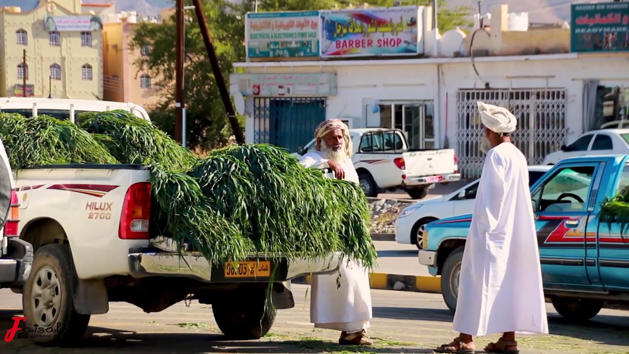 سوق محلاح (ولاية دماء والطائيين)