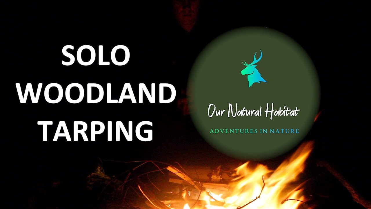 Solo Woodland Tarping in Autumnal Lowland Scotland