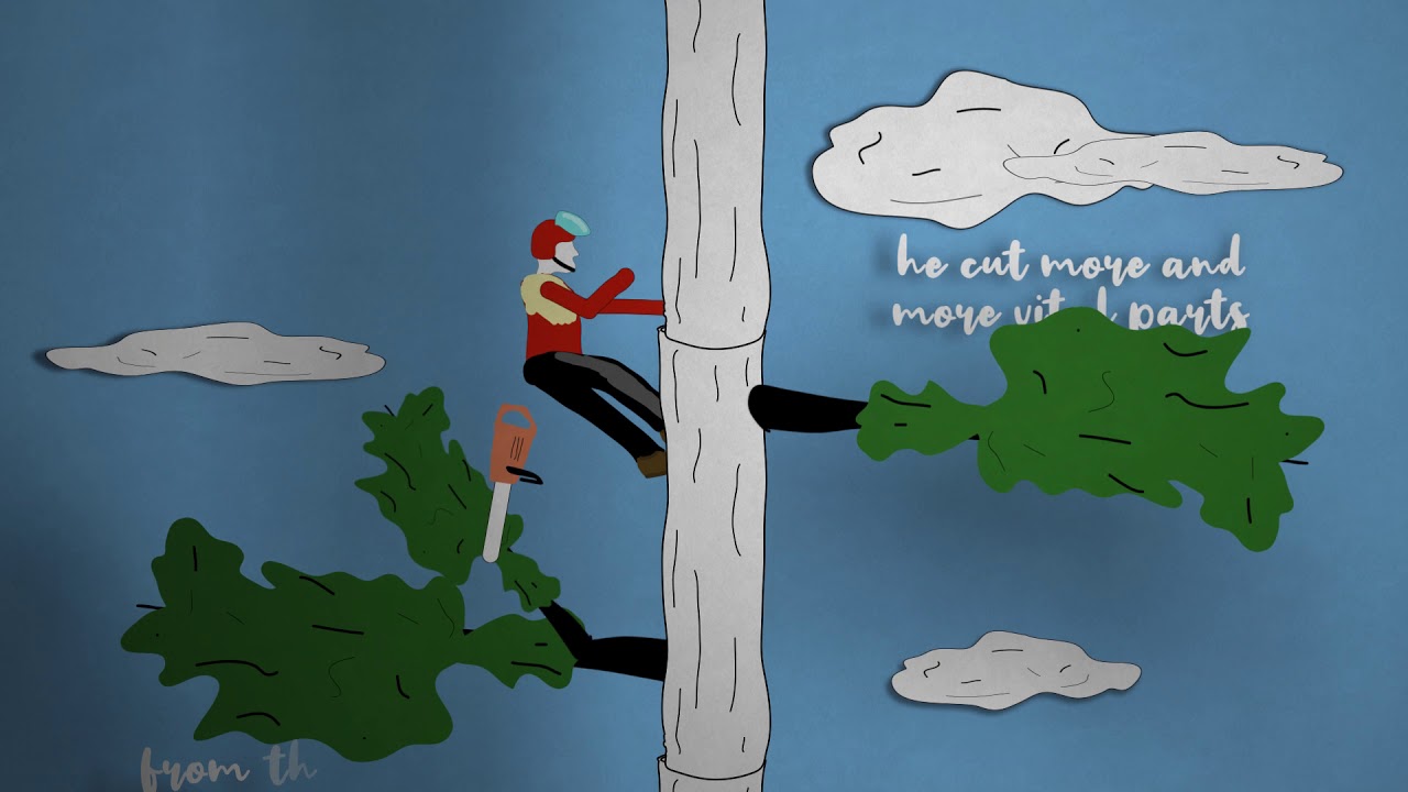 Что такое экологический риск?