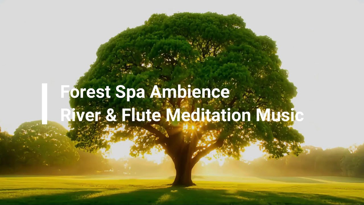 Forest Spa Ambience | River & Flute Meditation Music for Deep Sleep (Seamless Loop, No Vocals)