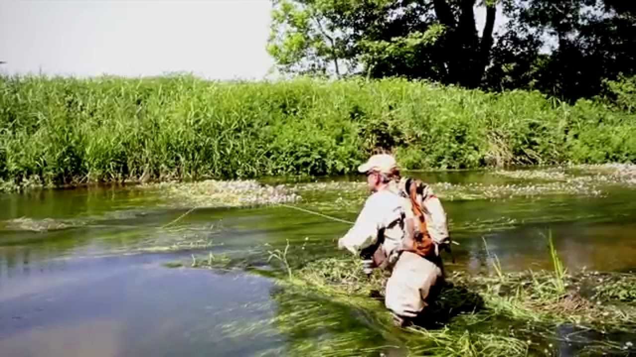 iGhillie 1 -  Booking Office Beat 7, The Dairy House Fishery, River Frome, Dorset