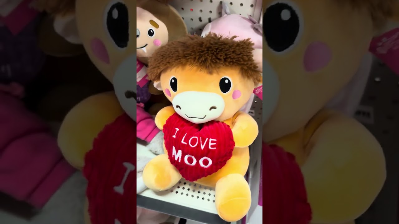 Valentines Day at Dollar General and Dollar Tree 💗