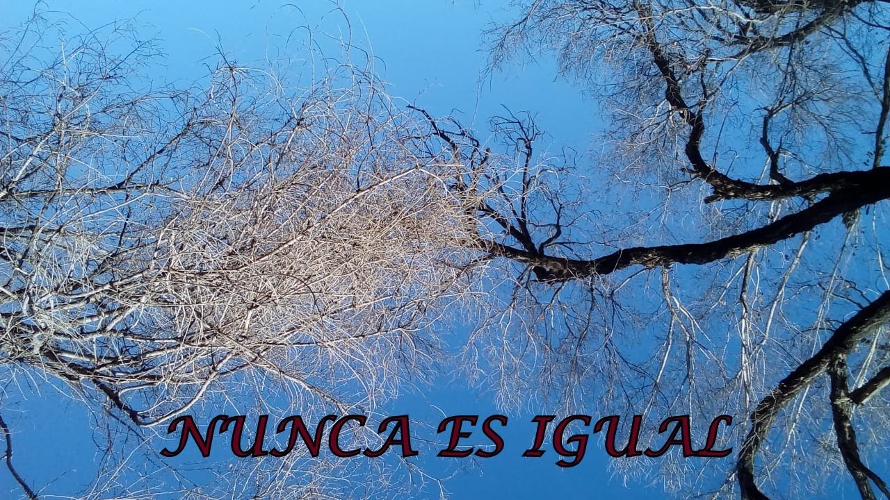 Nunca es igual-Adrián Gómez