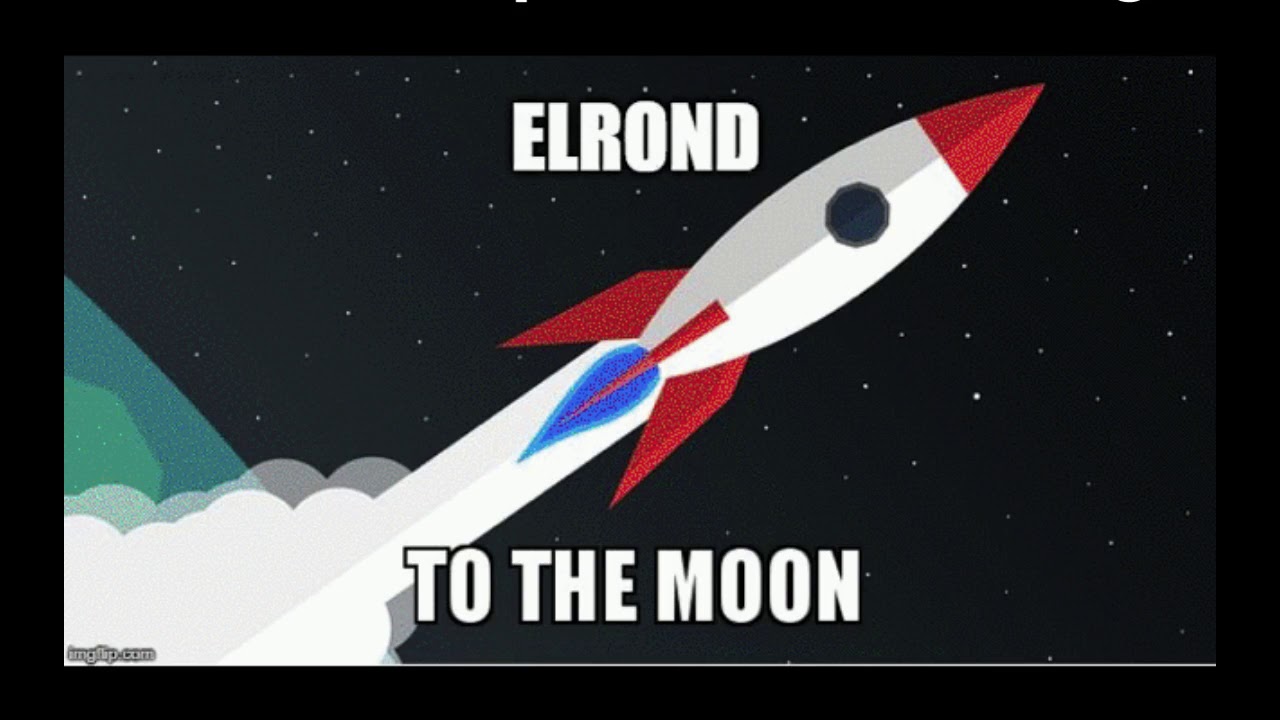 Elrond Network - The fellowship - Zero to One