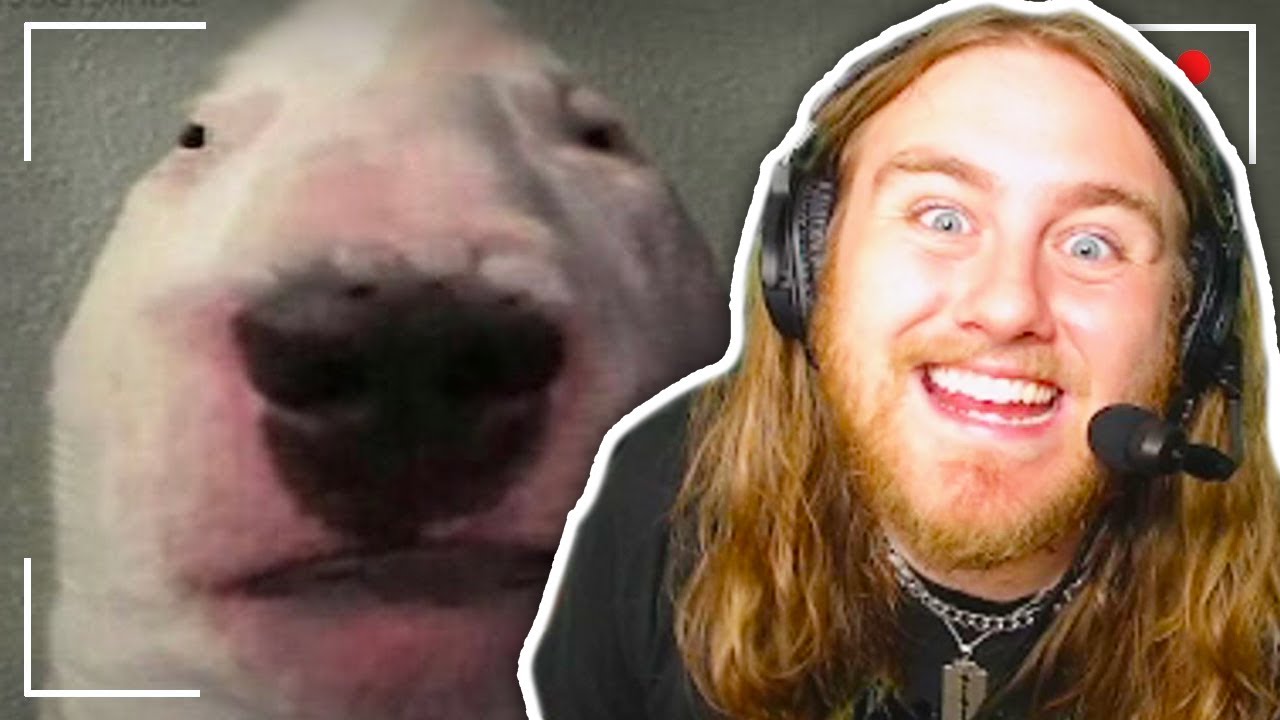 Soup Reacts to FUNNY MEMES that feel ILLEGAL