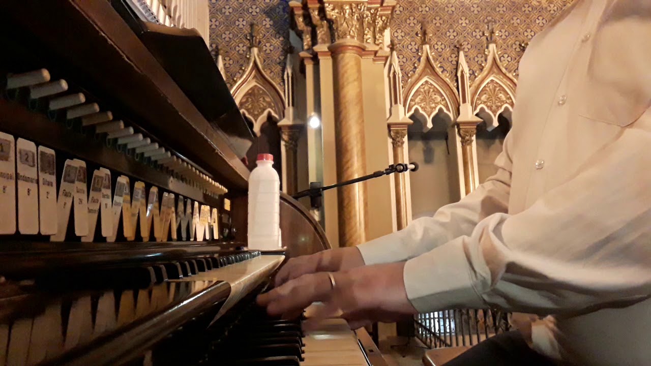 Mãe do Céu Morena / La Guadalupana