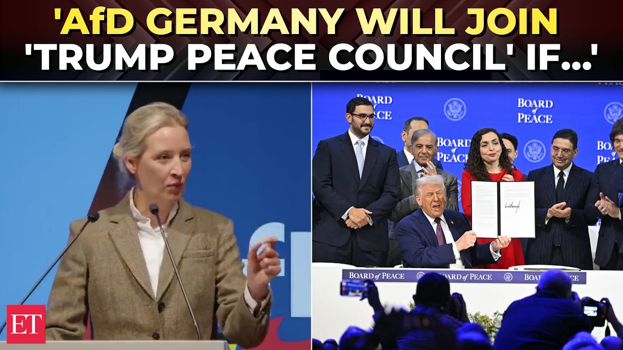 'Zelenskyy should pay for Nord Stream': Germany's Alice Weidel explodes over Russian pipeline blast