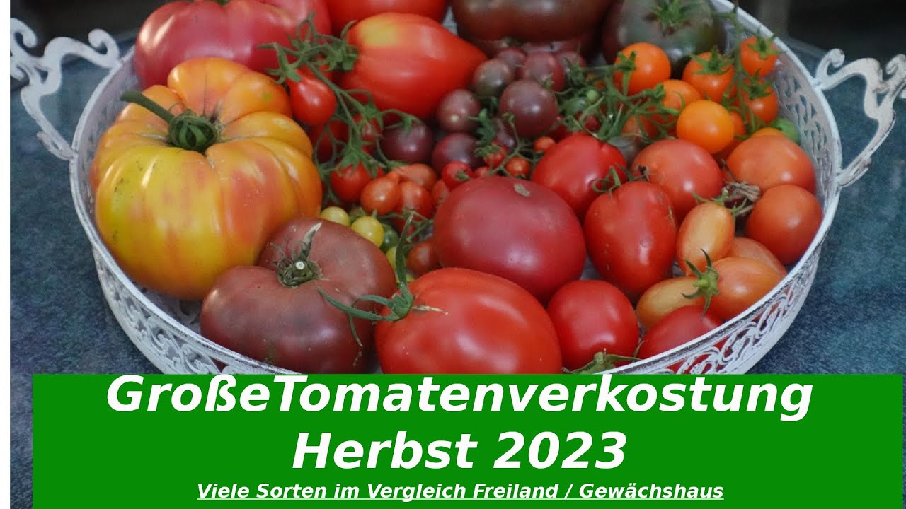 #Tomaten große Tomatenverkostung 2023 Kapitelmarker in Videobeschreibung Tomatensorten leicht finden