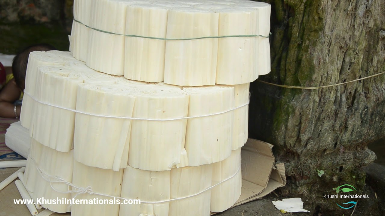 Sola Wood Flowers Making Process