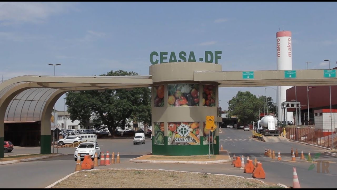 CEASA COMPLETA 49 ANOS