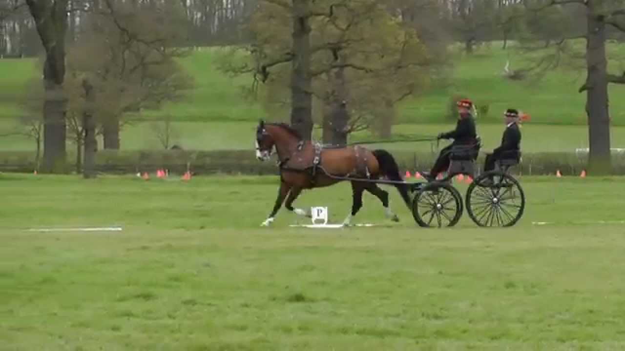 Patti Atkinson Catton Park Driving Trials