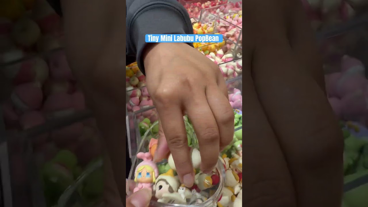 Tiny Labubu PopBeans from popmart store 