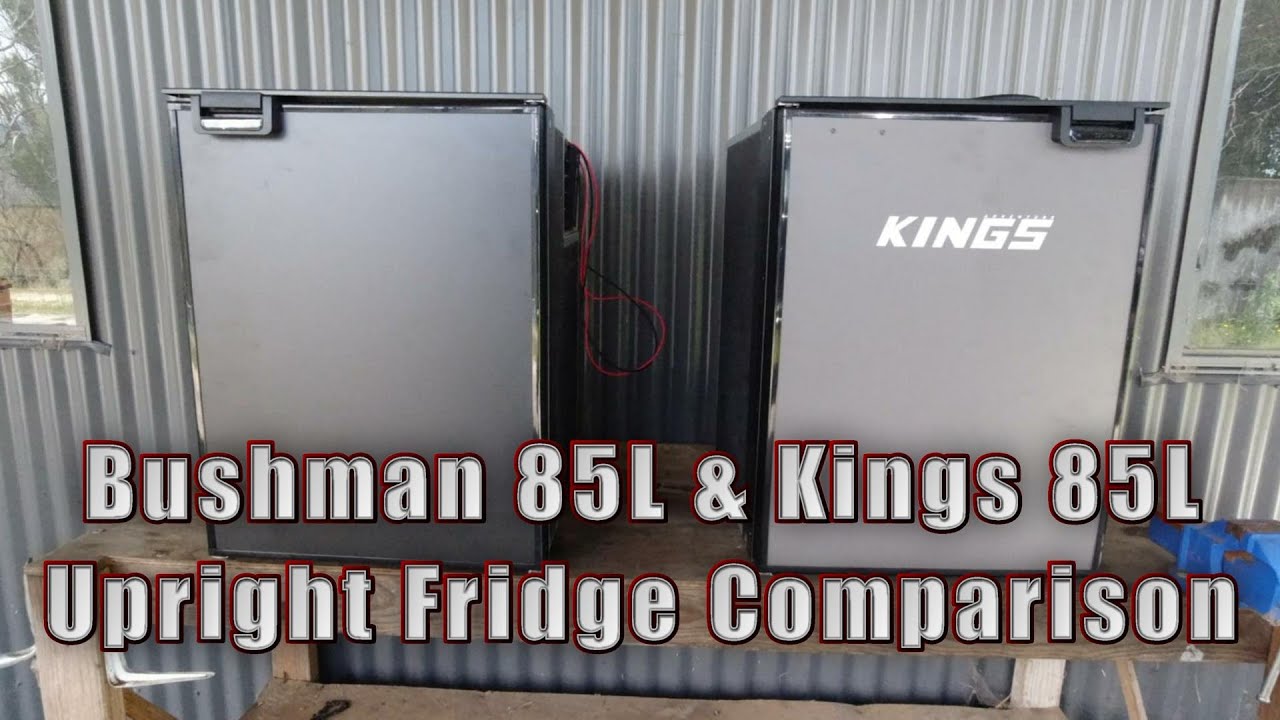 Сравнение вертикальных холодильников Bushman 85L и Kings 85L