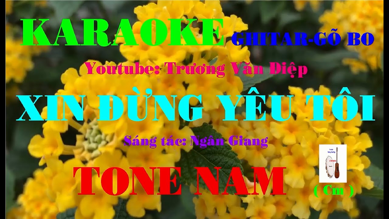 Karaoke Xin Đừng Yêu Tôi Tone Nam Gõ Bo | Trương Văn Điệp
