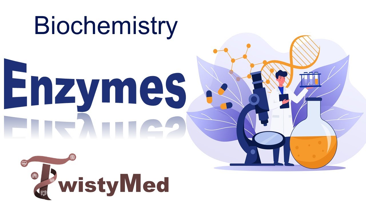 Enzymes | part 1