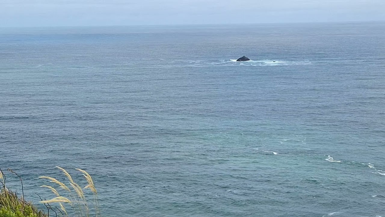 Ocean vista's from Highgrove, St Clair, Dunedin  NZ