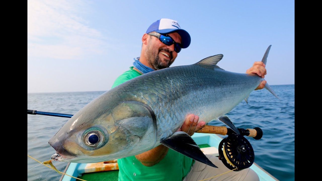 Arabian Milkfish on Fly