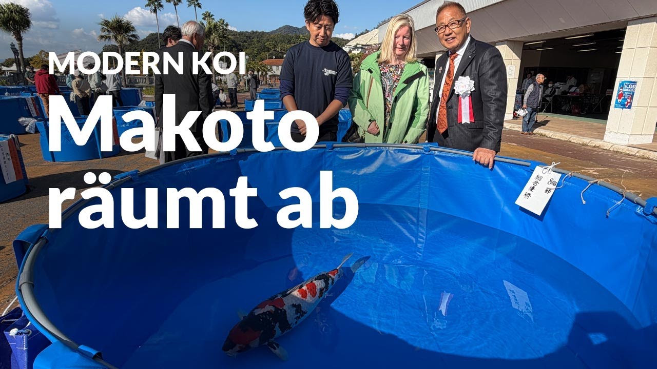 Die Hiroshima Nogyosai 2025 | Modern Koi Blog Japan #7735