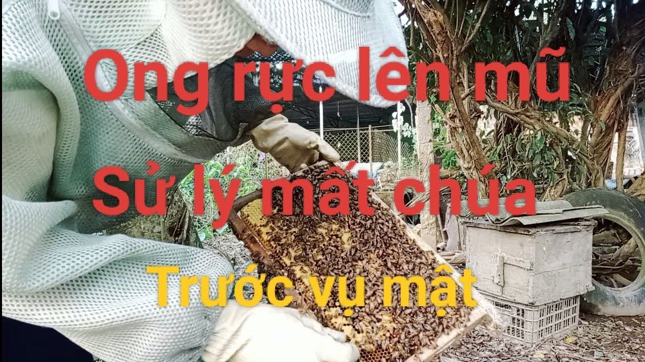 Mất Chúa có đáng lo thời điểm hiện tại và cách sử lý và tiếp tục cân chỉnh thế đàn 