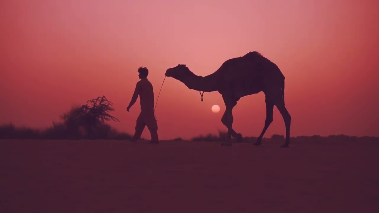 Legends-Coldplay (IA Imagine Video Cover)