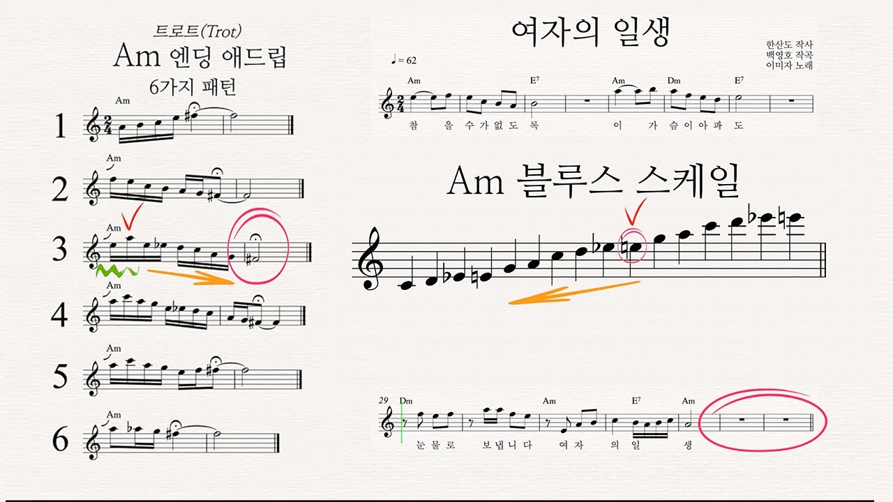 엔딩 애드립 모음-Am(트로트 1편)