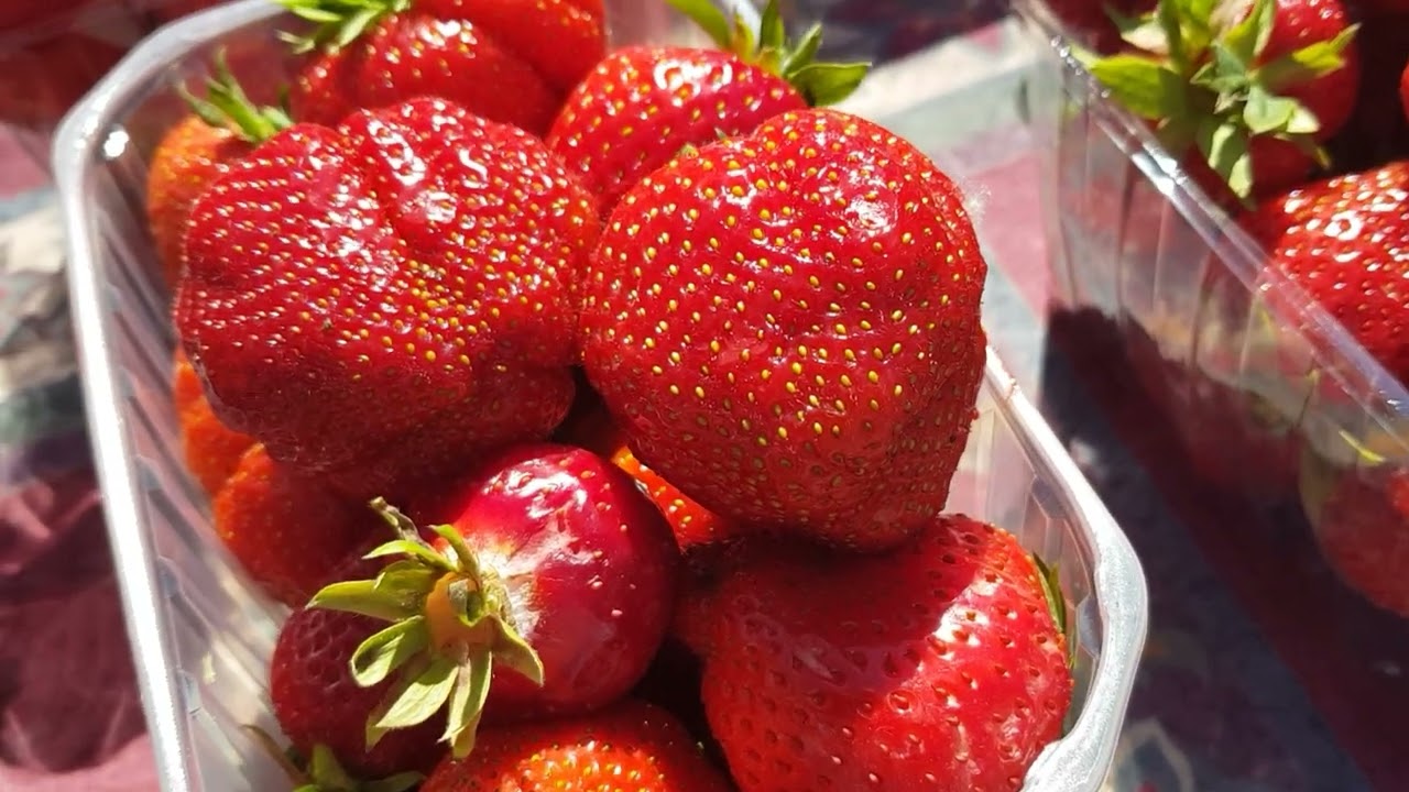 pardavinejem braskes Karčiamos !🍓🍓🍓🍓🍓🍓