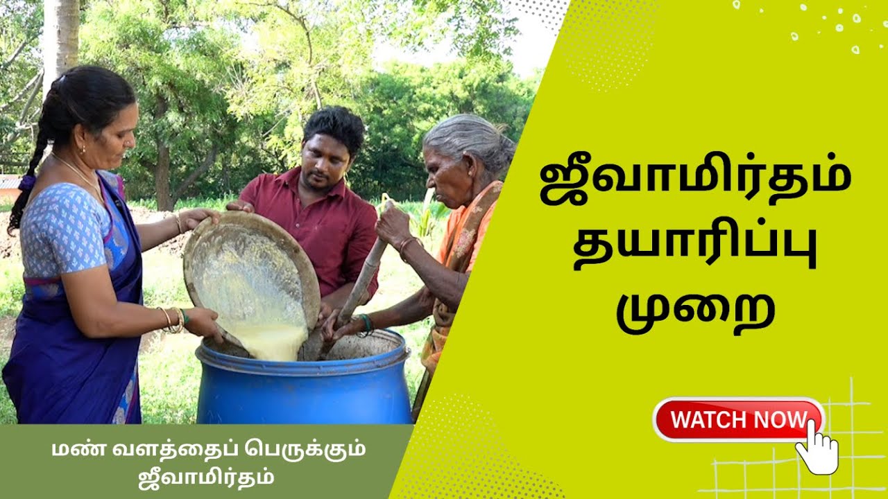 ஜீவாமிர்தம் தயாரிக்கும் எளிய முறை | Jeevamirtham Preparation Method in Tamil