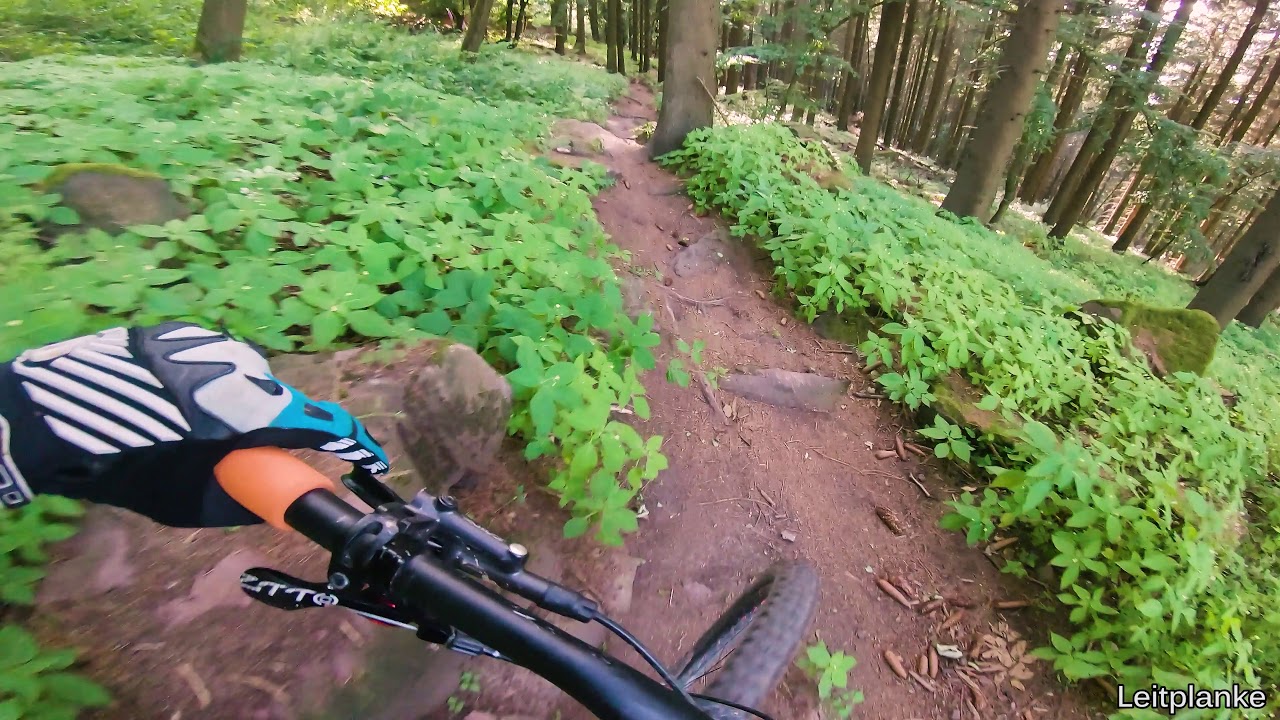 Let's Ride MTB - Heidelberg // Königstuhl - Dark Stones, Hardline, Leitplanke, Rohrbach...