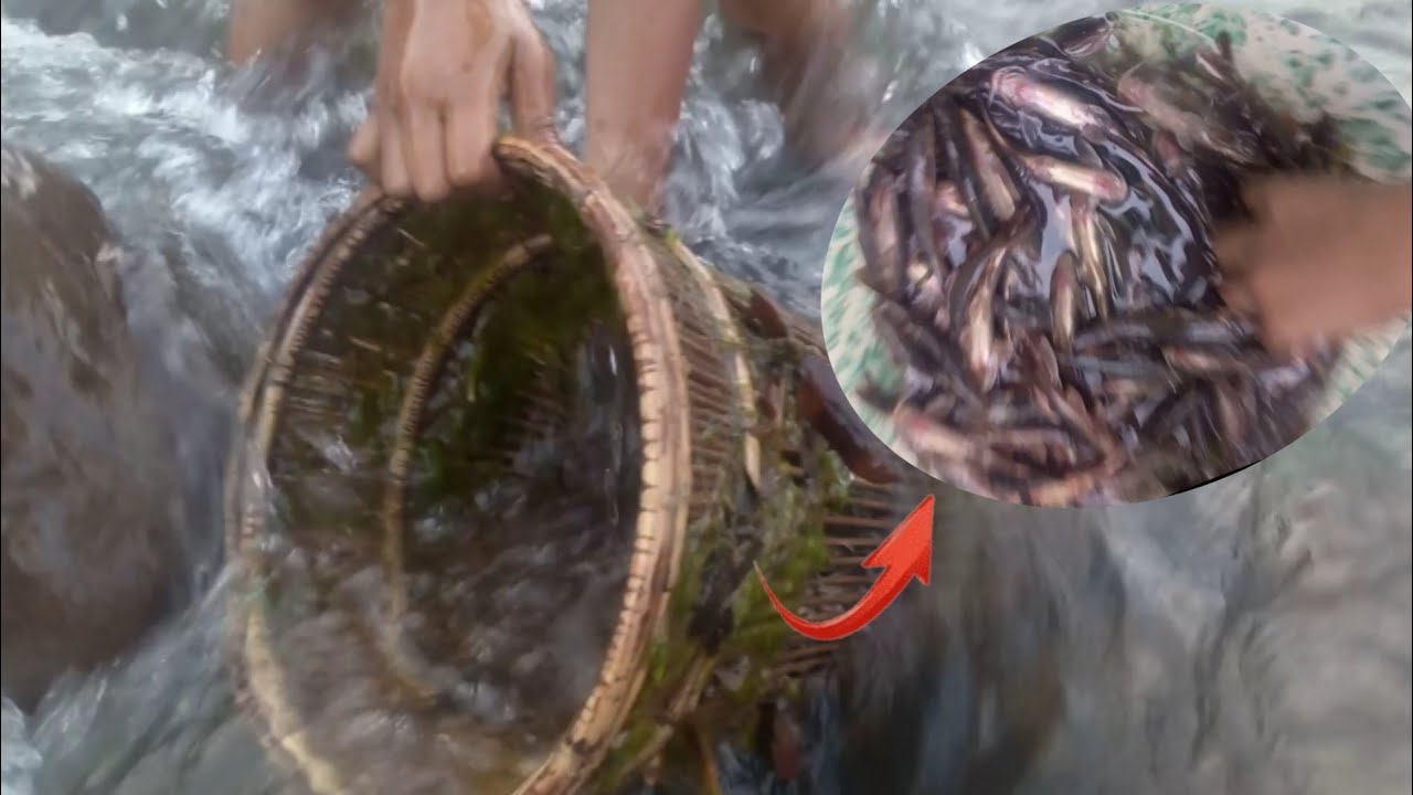 Kelebihan muatan | Bubu Ikan Tradisional Jaman Dulu, masih tetap di andalkan