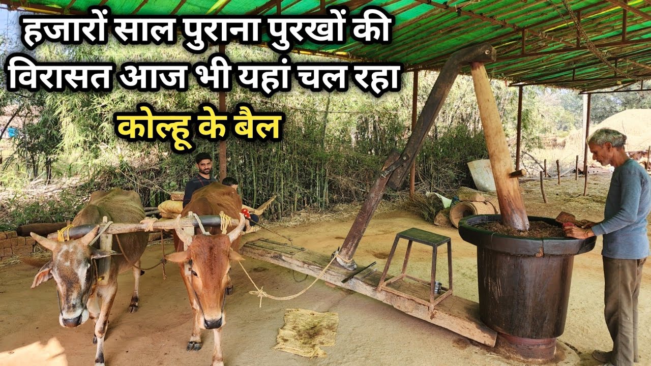 हजारों साल पुराना पुरखों की विरासत आज भी यहां चल रहा