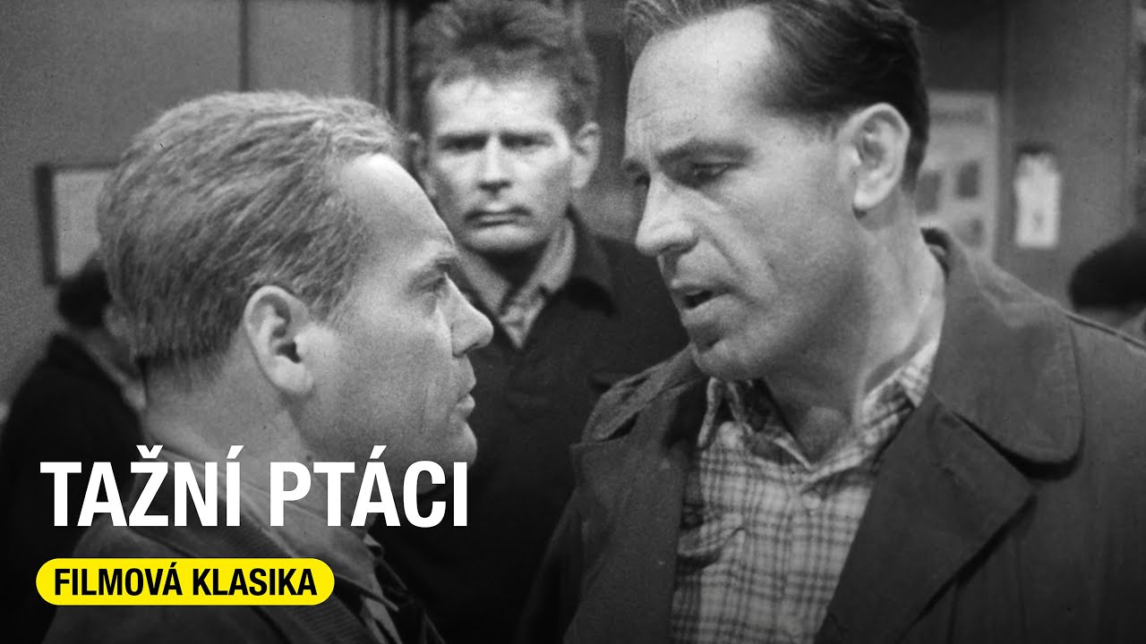 Tažní ptáci (Jaroslav Mach, 1961, celý film)