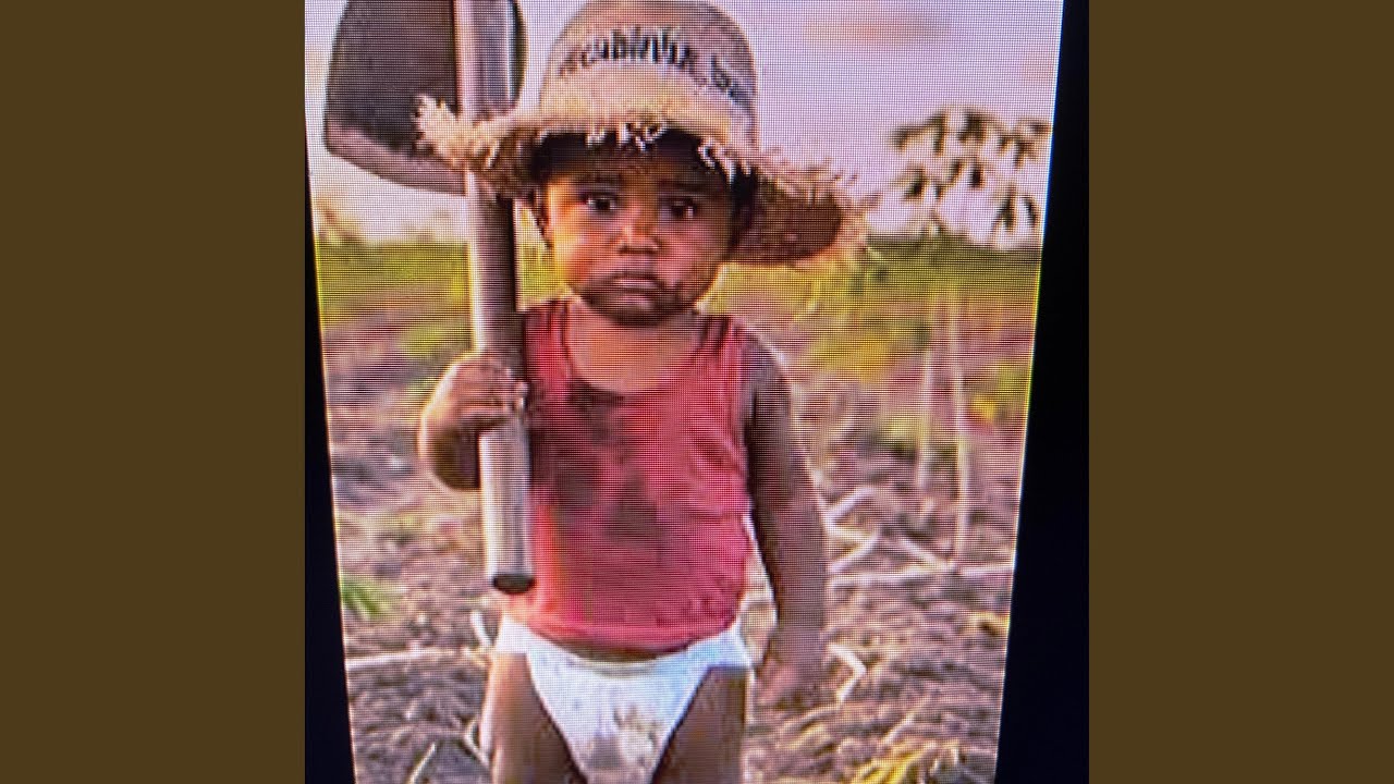 Sou vaqueiro sou da roça