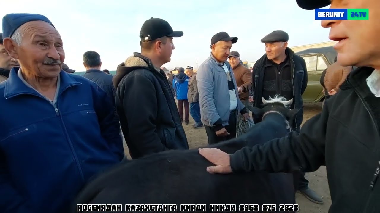 БЕРУНИЙ УЖАК СИГИР БОЗОРИ 07.04.2024
