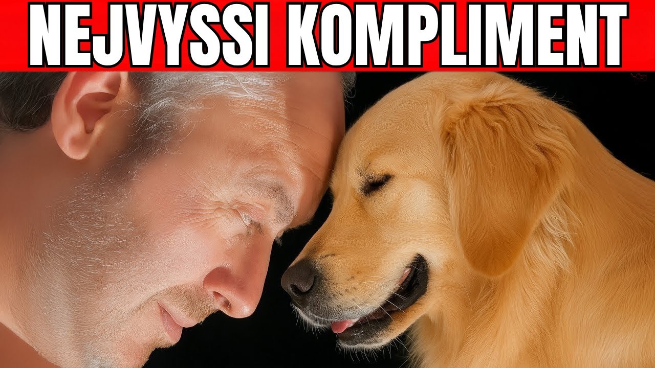 16 NEJHLUBŠÍCH komplimentů, které vám pes dělá!