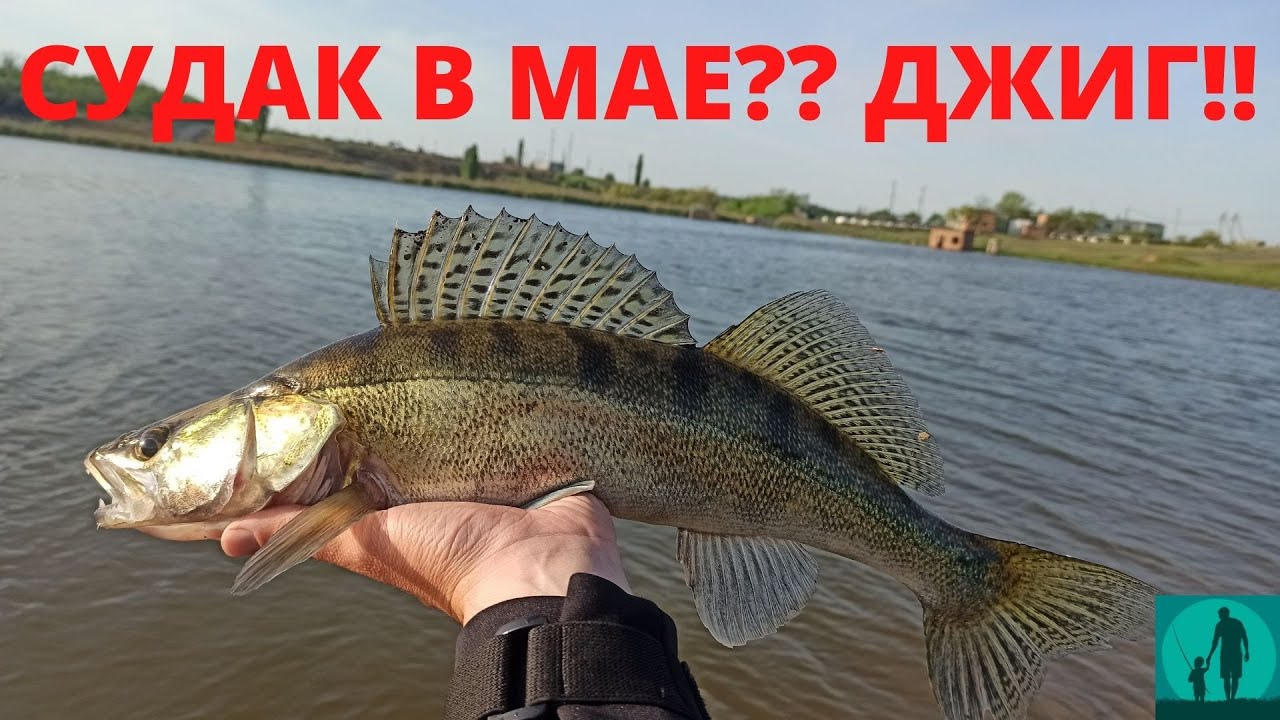 СУДАК в мае на ДЖИГ!! И снова XESTA!