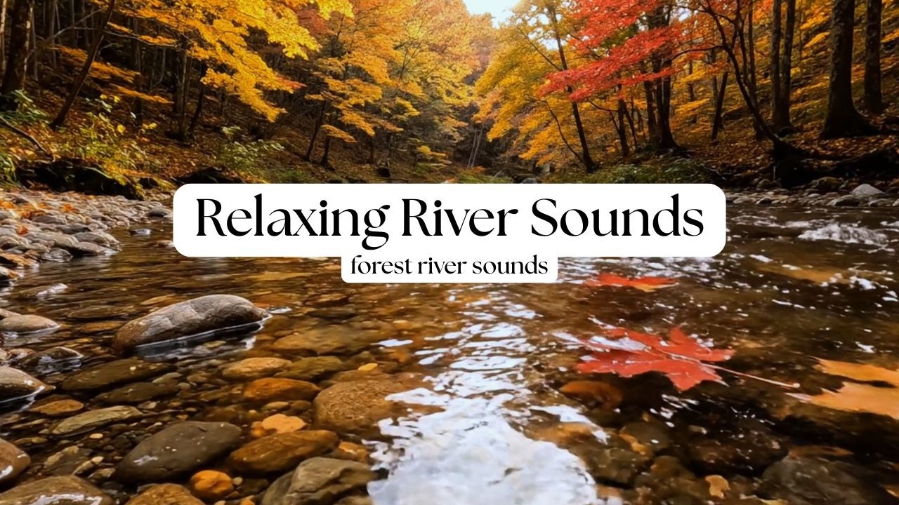 Relaxing River Sounds in Autumn Forest 🍁 | Peaceful Nature Ambience for Sleep & Study
