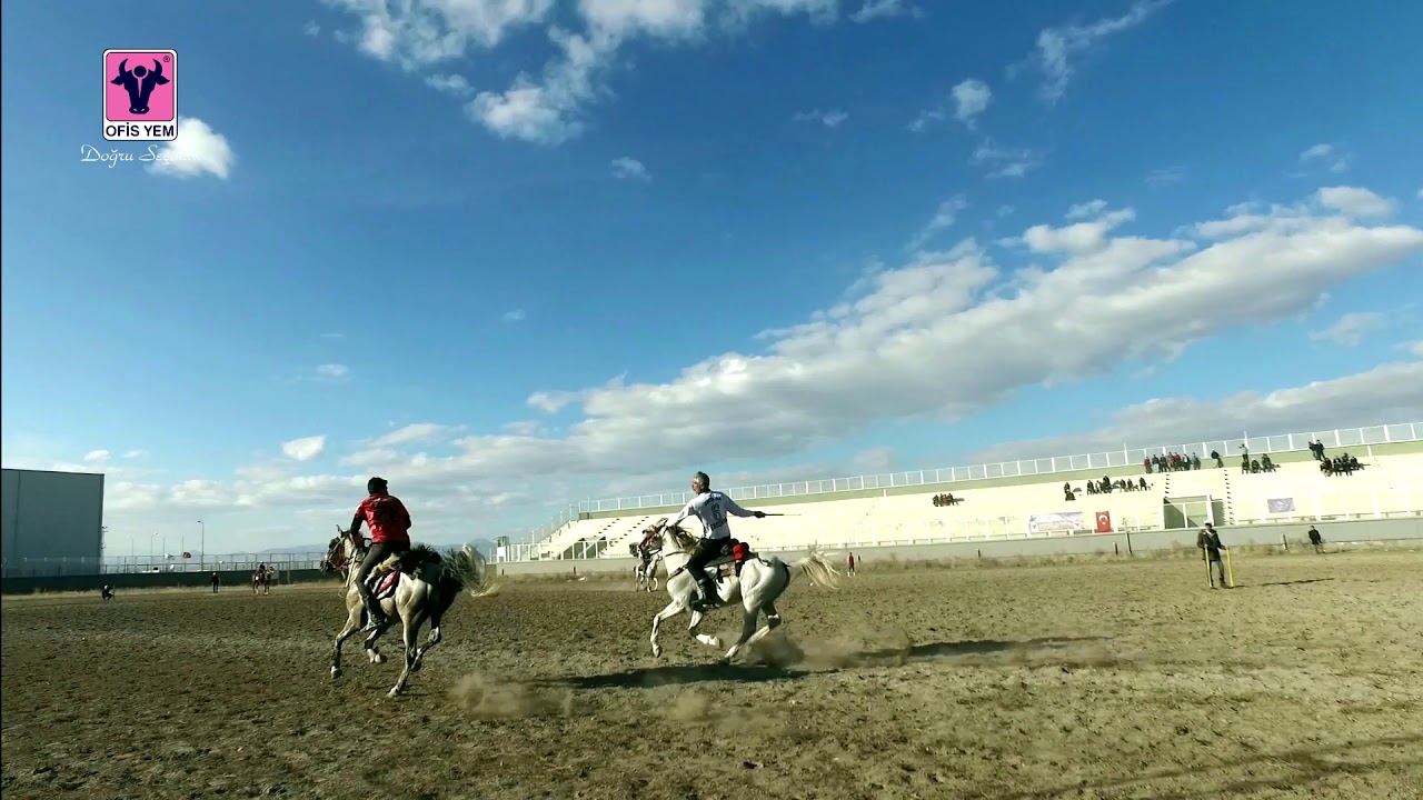 Ofis Yem sponsorluğunda Erzurum Şah Dadaş atlı spor klübü ile geleneksel cirit oyunları.