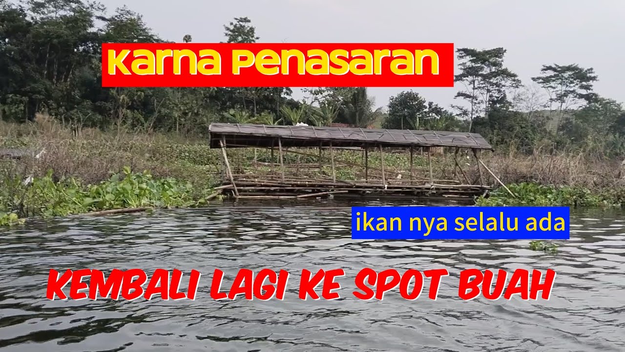 Spot buah palumbon ikan nya selalu ada. Penasaran balik lagi 