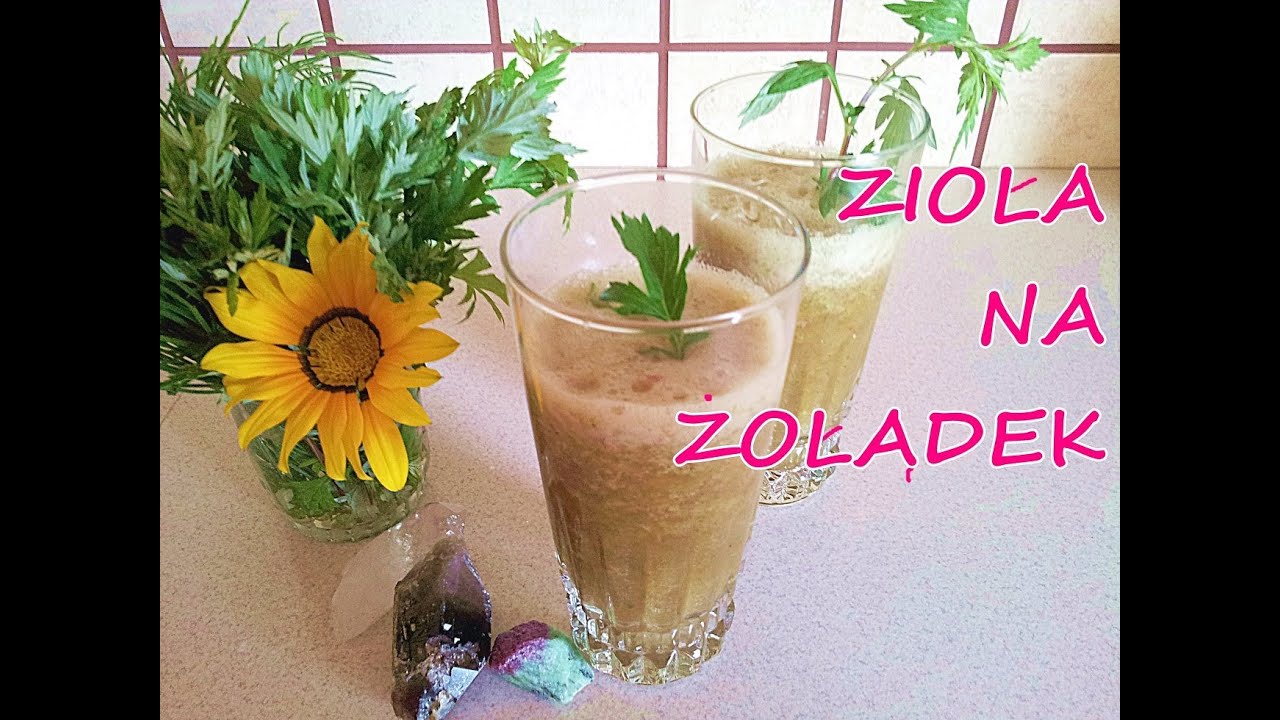 Naturalne metody,sposoby na trawienie,ziołowy z ziołami koktajl Dieta Okinawa Cud,Bylica pospolita