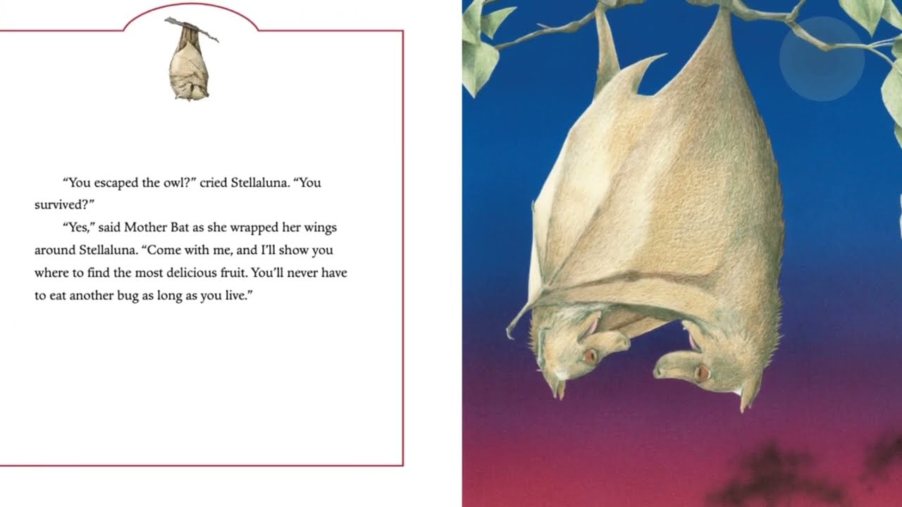 Stella Luna~Kids Book Read Aloud with Animations and Audio