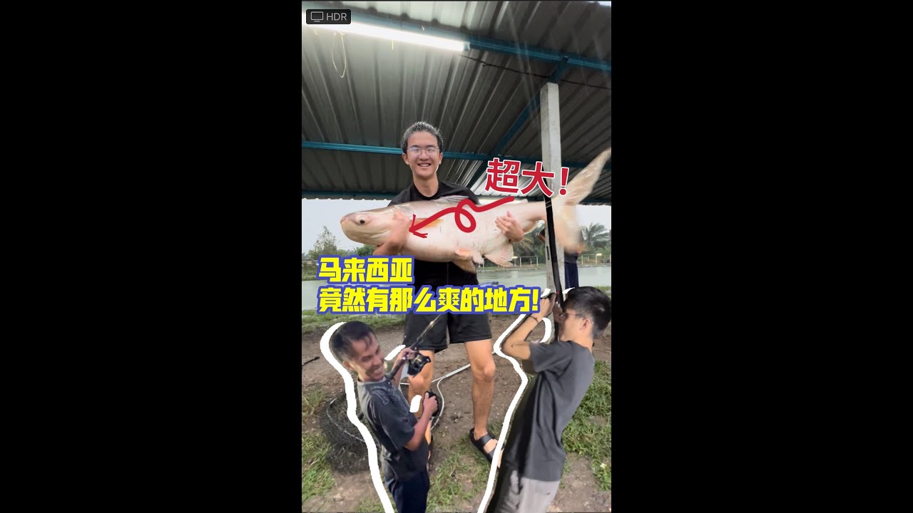钓鱼4.0 付费鱼塘超好玩！钓到巨物啦！