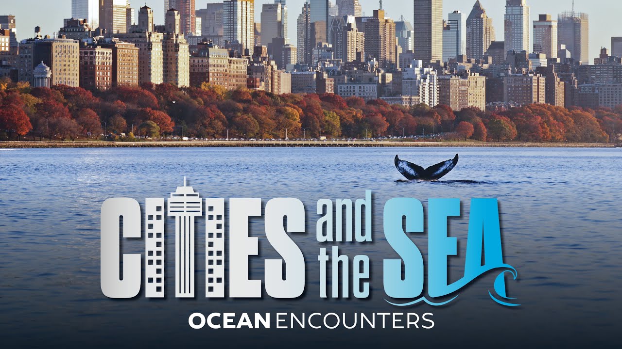Ocean Encounters: Cities and the Sea
