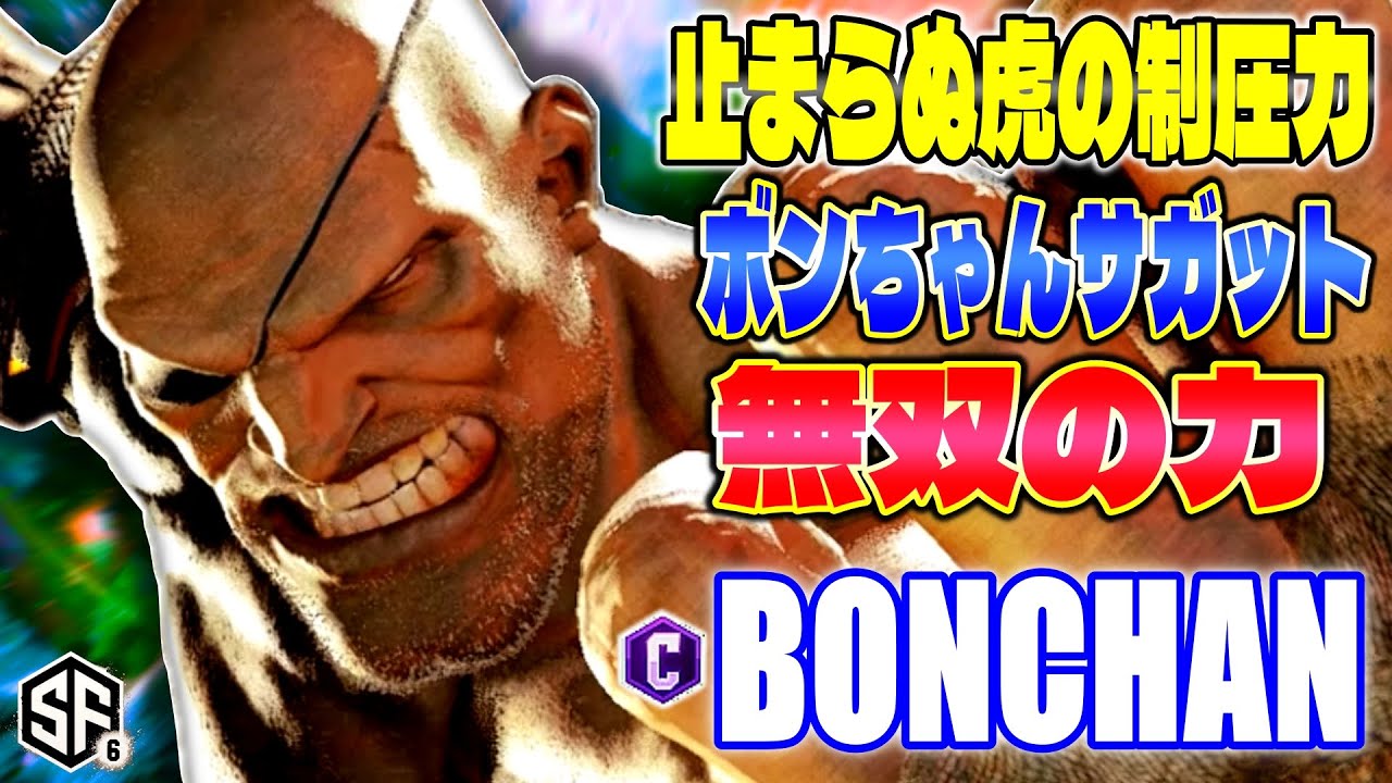 【スト6】止まらぬ虎の制圧力 ボンちゃんサガット無双の力 ボンちゃん (サガット) 【SF6】