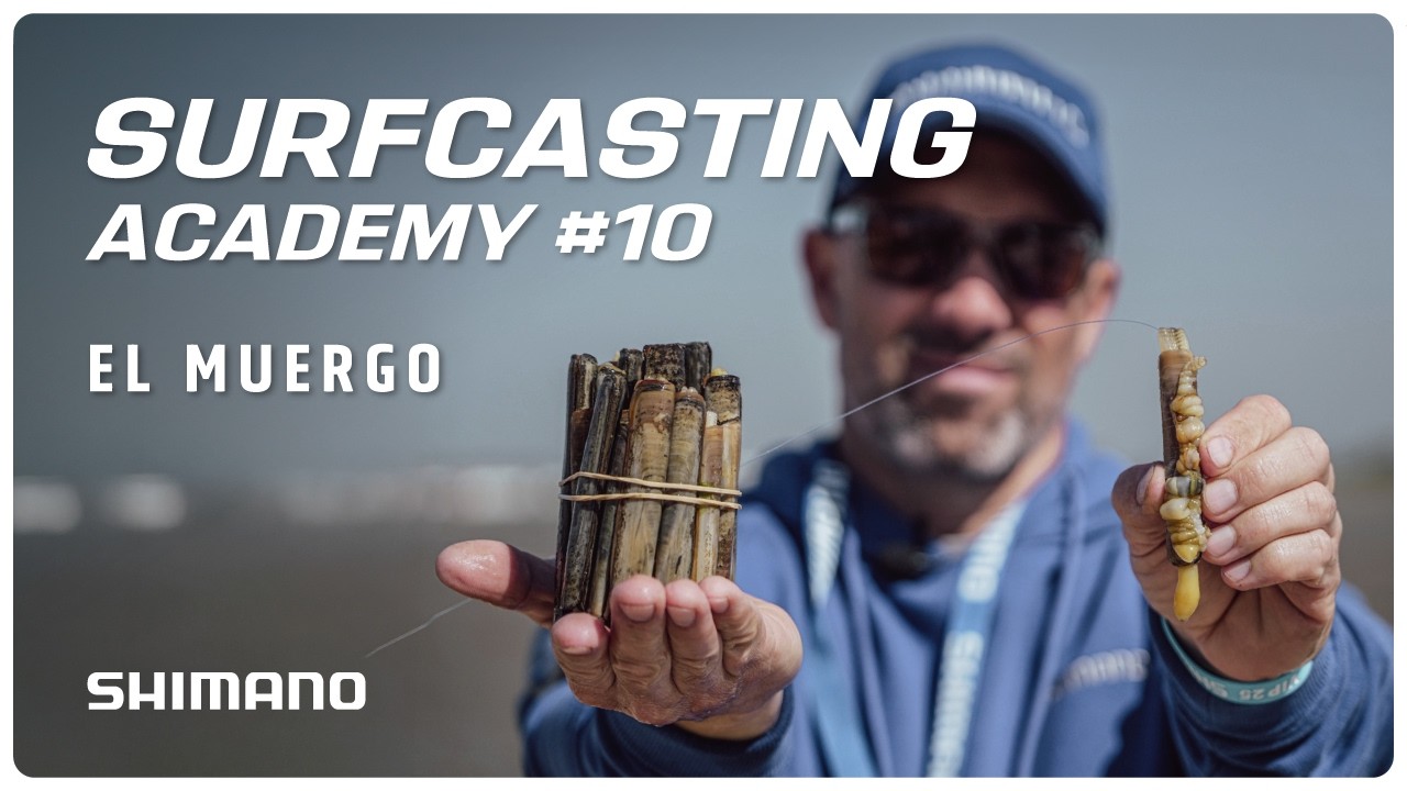 SHIMANO SURFCASTING ACADEMY // ENCARNADO Y MANTENIMIENTO DEL MUERGO.